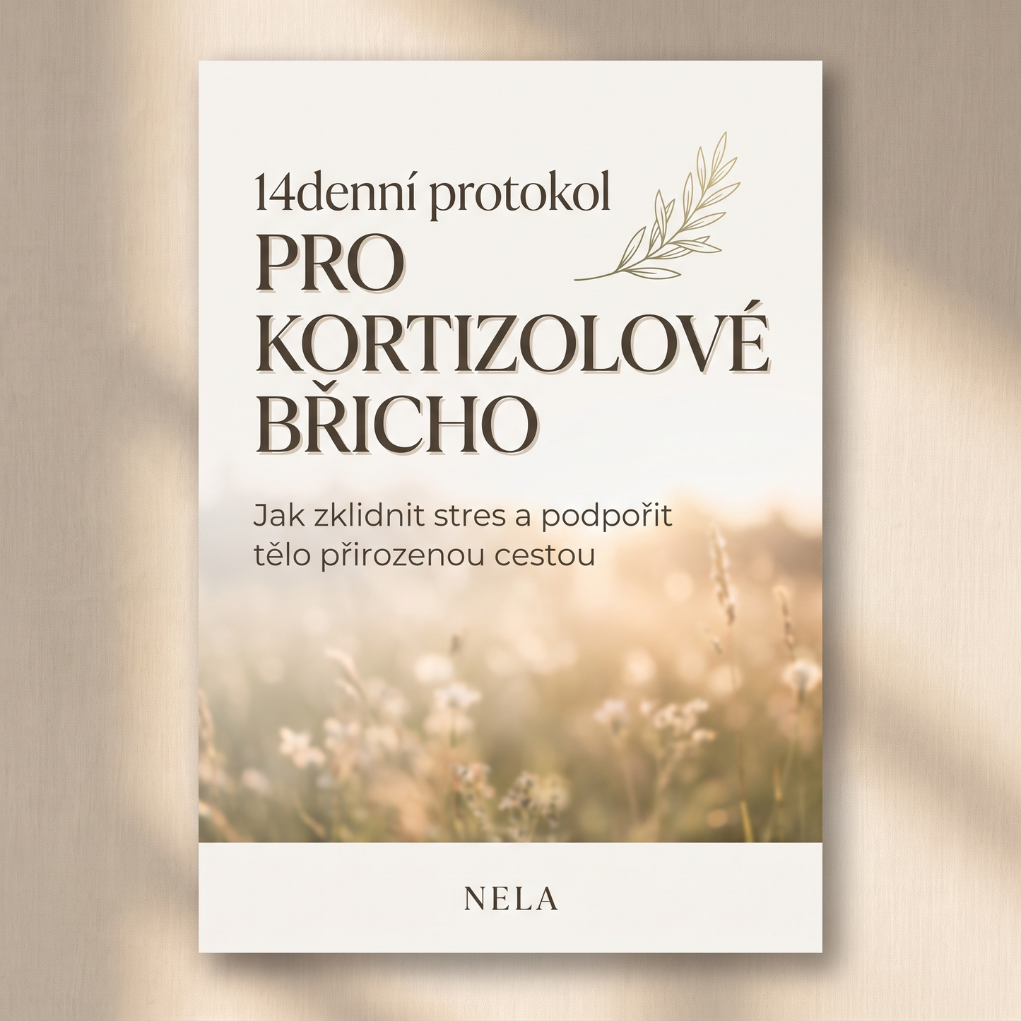 14denní protokol pro kortizolové břicho